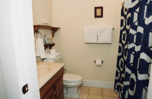 Bathroom with wooden vanity, a toilet, and blue patterned shower curtain.