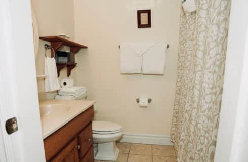 Bathroom with wooden vanity, a toilet, and a beige patterned shower curtain.