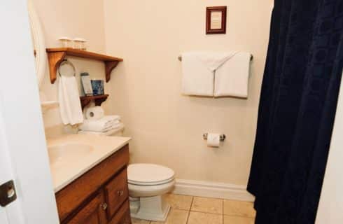 Bathroom with wooden cabinet vanity, a toilet, and a blue shower curtain.