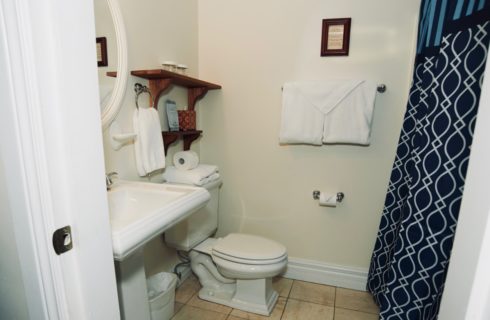 White bathroom with a pedestal sink, toilet, and blue patterned shower curtain.