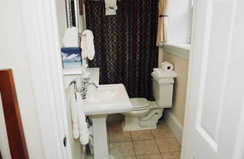 Bathroom in white with a pedestal sink, toilet, and a brown shower curtain.