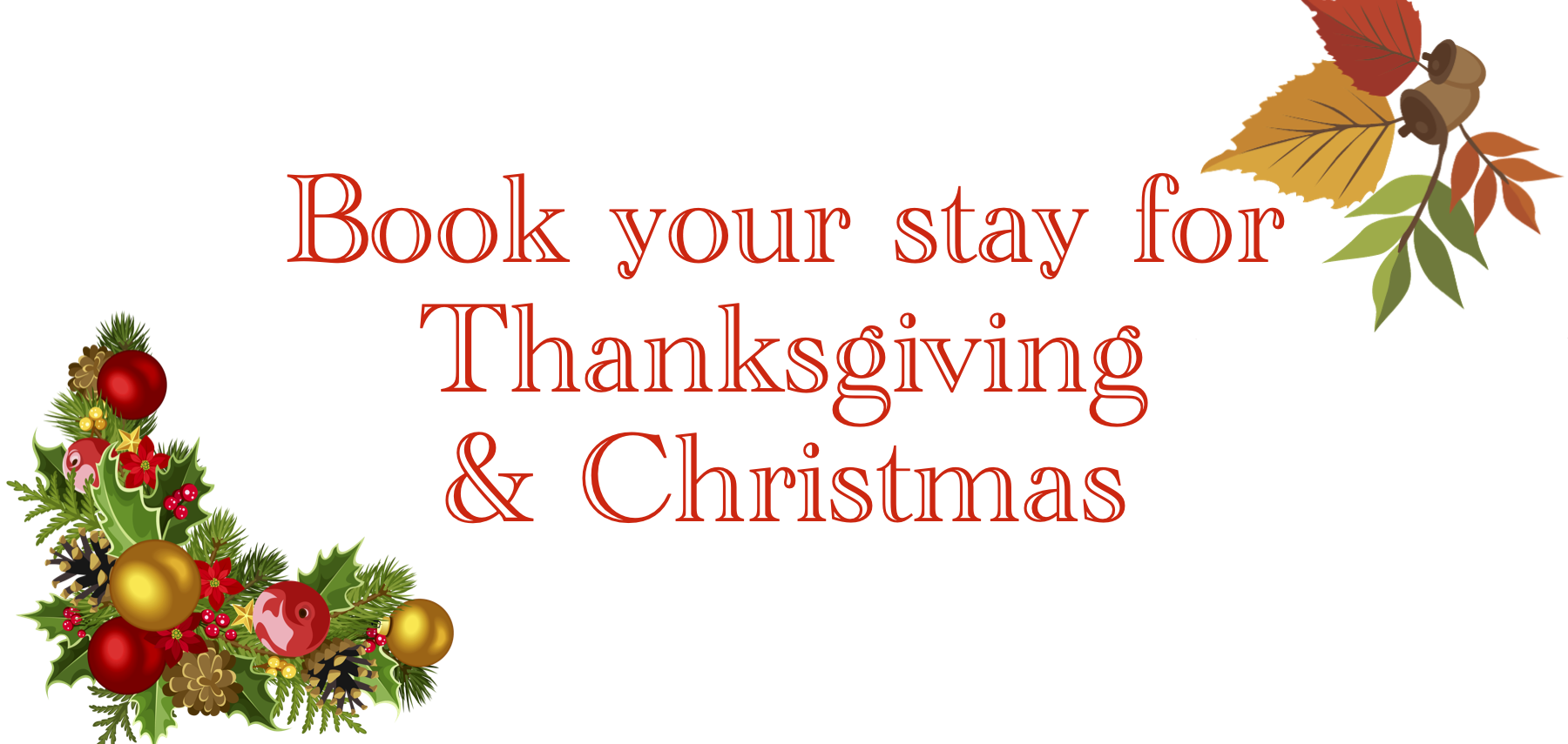 Green backgrounded text with the words book your stay for Thanksgiving & Christmas.